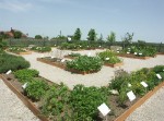 Gesamtblick auf die Beete im Andechser Kräutergarten